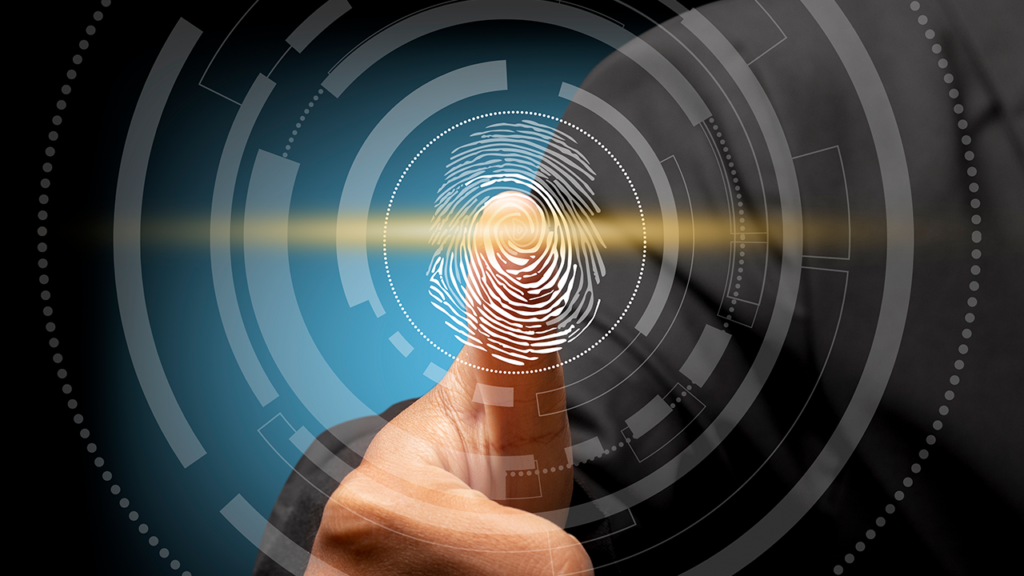 live scan fingerprinting